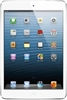 apple-ipad-mini-16gb